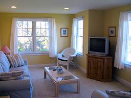 Downstairs Family Room