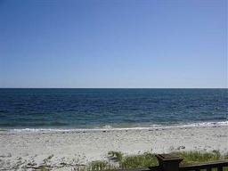 View From Deck